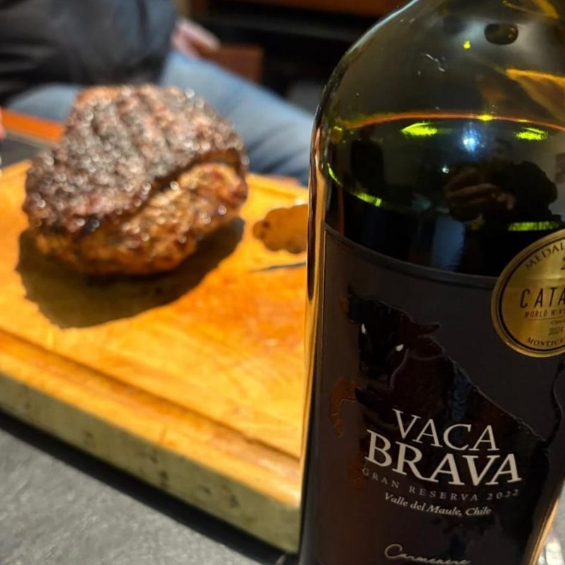 Vaca Brava Carménère junto a un lomo a la parrilla